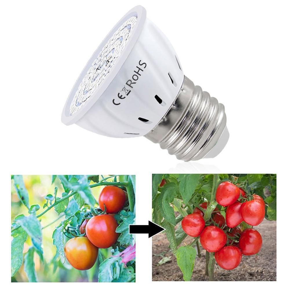 Plant Grow Light Full Spectrum - LED Grow Lamp E27 60 80LEDs