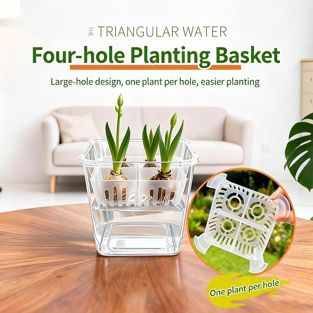 Hydroponic Grow Pod - 1 stks Hydrocultuur Planter Tulp Bulb