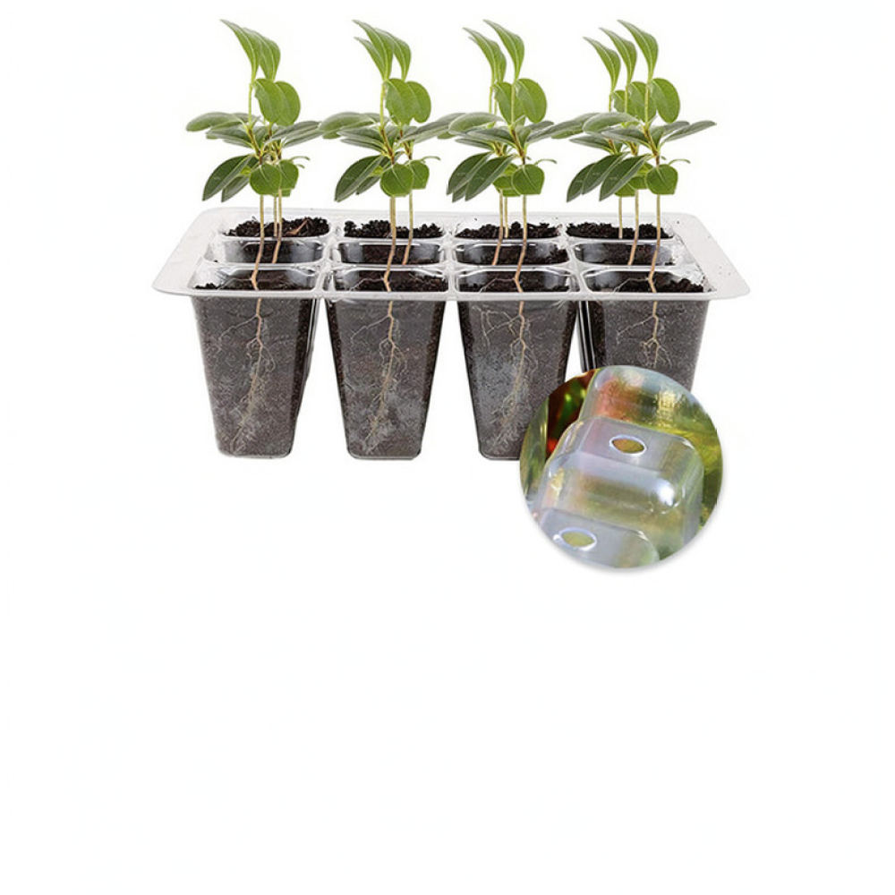 Indoor Garden Kit - Plant Grow Light Starter Kit: complete