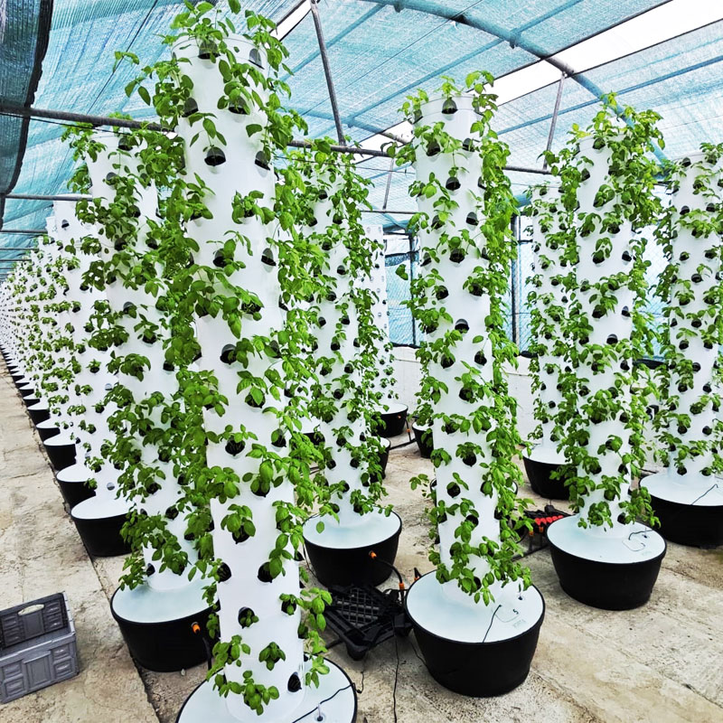 Hydroponic Tower - Hoogwaardig, eenvoudig te installeren, klein verticaal