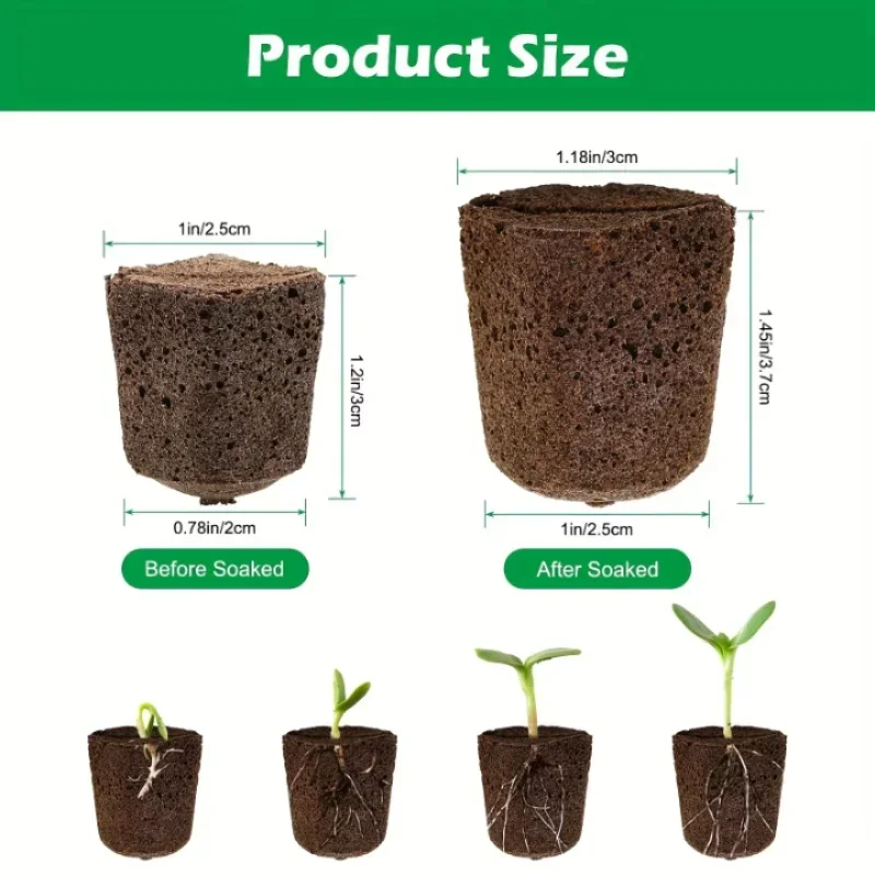 Indoor Garden Kit - Zaailingstartset met sponsjes voor hydroponische binnenkweeksystemen,
