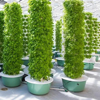 Aeroponics-torenkweeksystemen  - Hydroponic Tower recensie en prijs