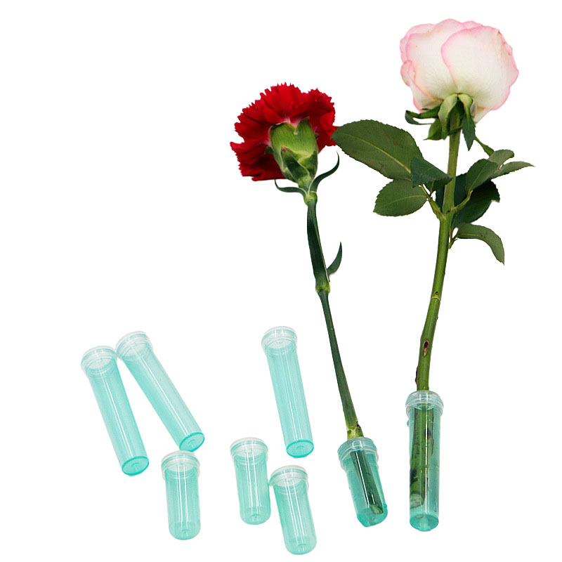 20 Stuks Plastic Verse Bloem V - Hydroponic Grow Pod recensie en prijs