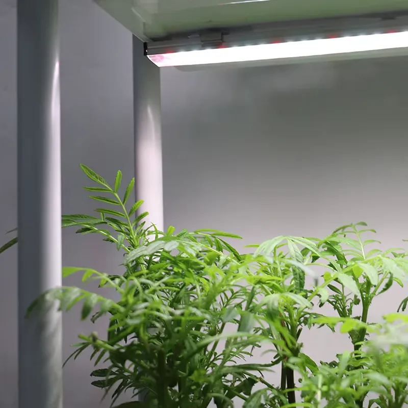 Verplaatsbaar verticaal 3-laag - Smart Garden System recensie en prijs