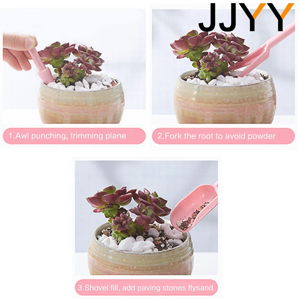 4-delige mini succulenten plan - Indoor Garden Kit recensie en prijs