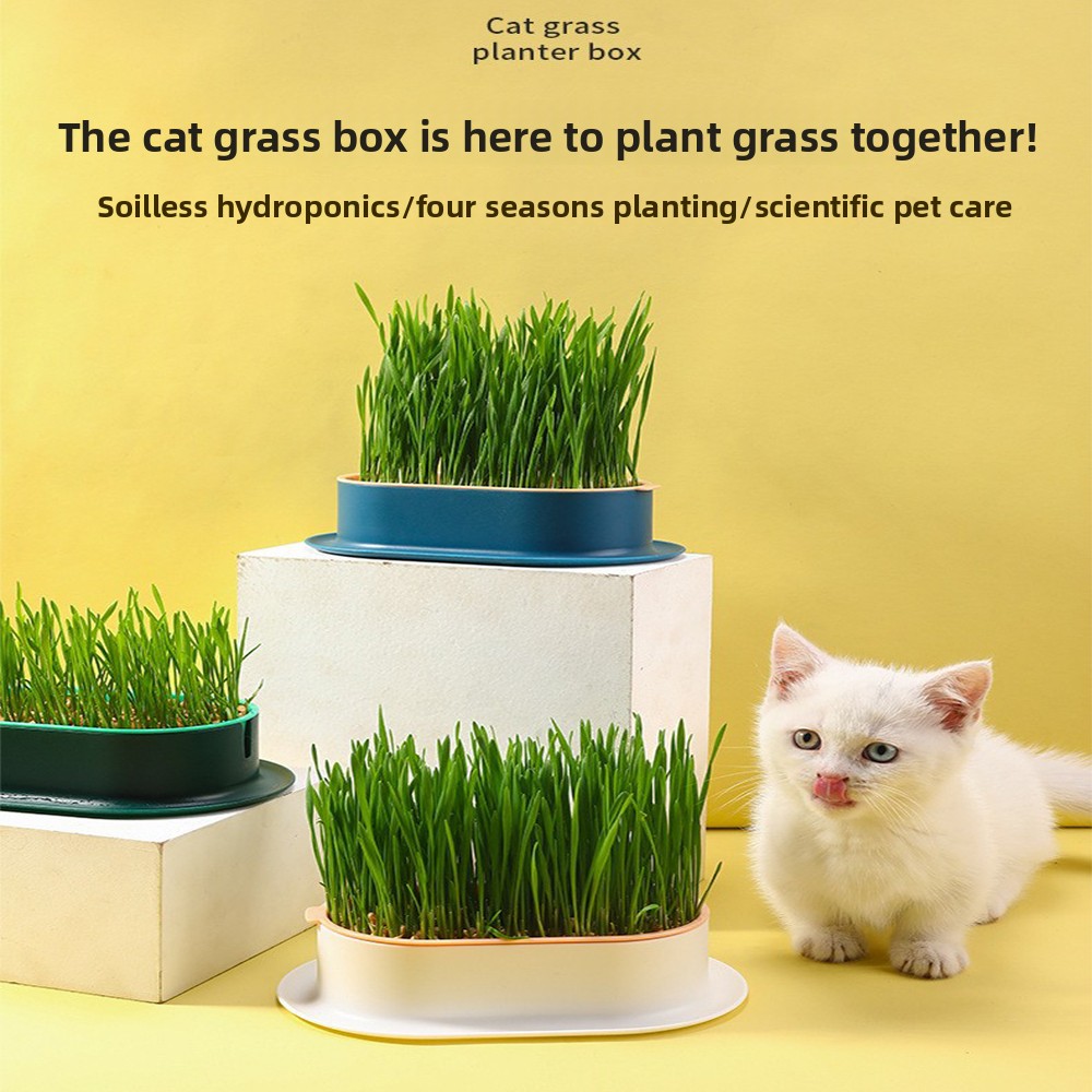 Dierbenodigdheden Kattensnacks - Hydroponic Grow Pod recensie en prijs