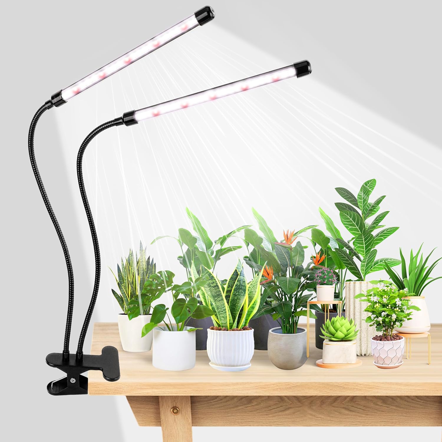 KEBINCPLED USB 5V Clip Planten - Hydroponic Grow Pod recensie en prijs