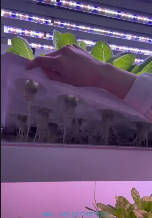 f Kas Landbouwuitrusting Groei - Hydroponic Tower recensie en prijs