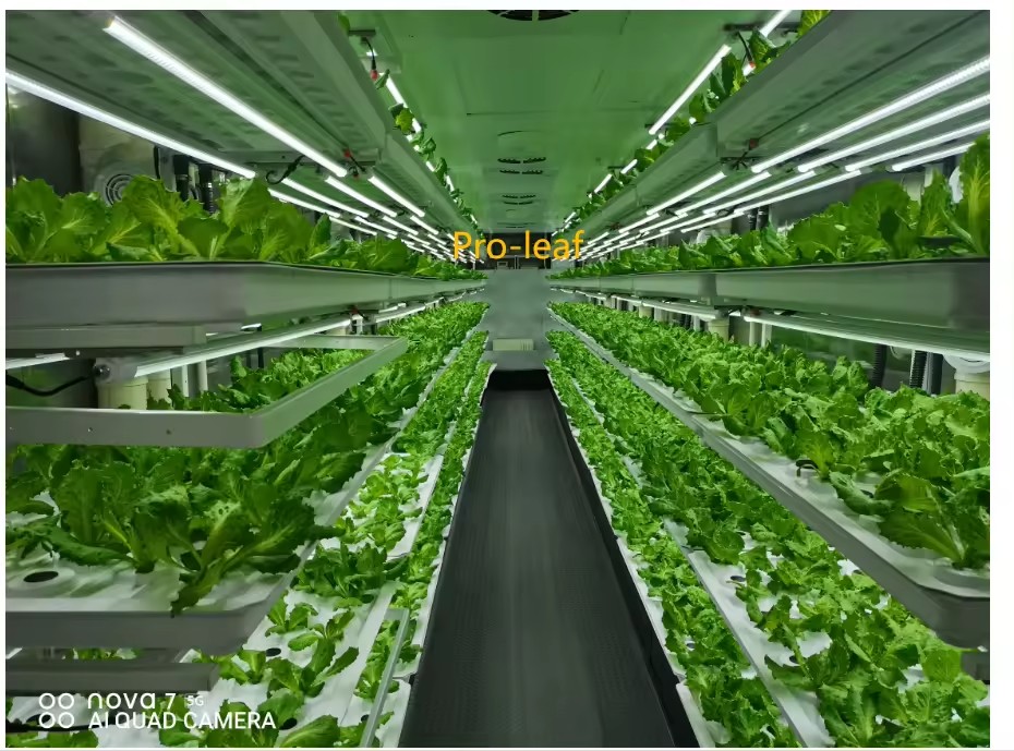 f Kas Landbouwuitrusting Groei - Hydroponic Tower recensie en prijs
