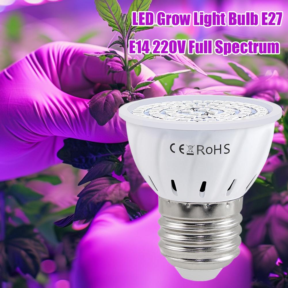 LED Grow Lamp E27 60 80LEDs Vo - Plant Grow Light Full Spectrum recensie en prijs