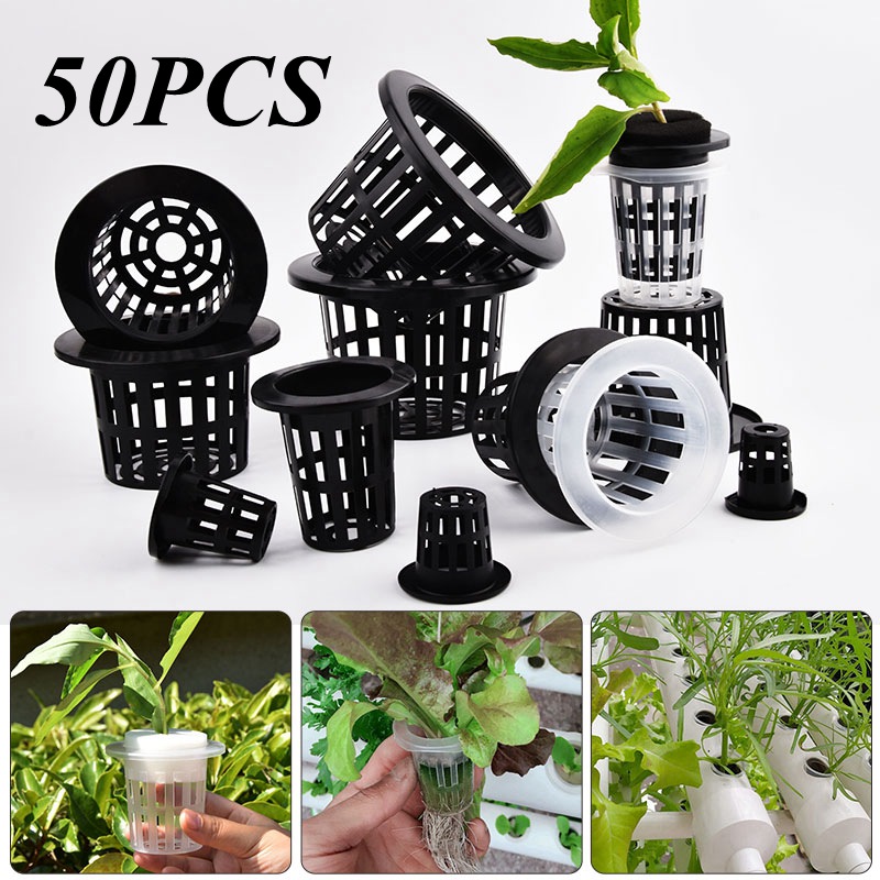 50 stuks zwart-witte grondloze - Hydroponic Grow Pod recensie en prijs