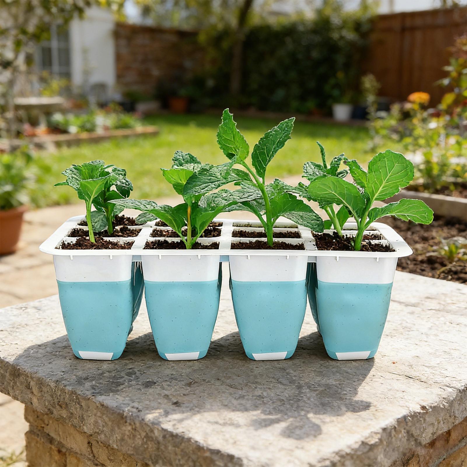 5-pack siliconen zaaitrays met - Indoor Garden Kit recensie en prijs
