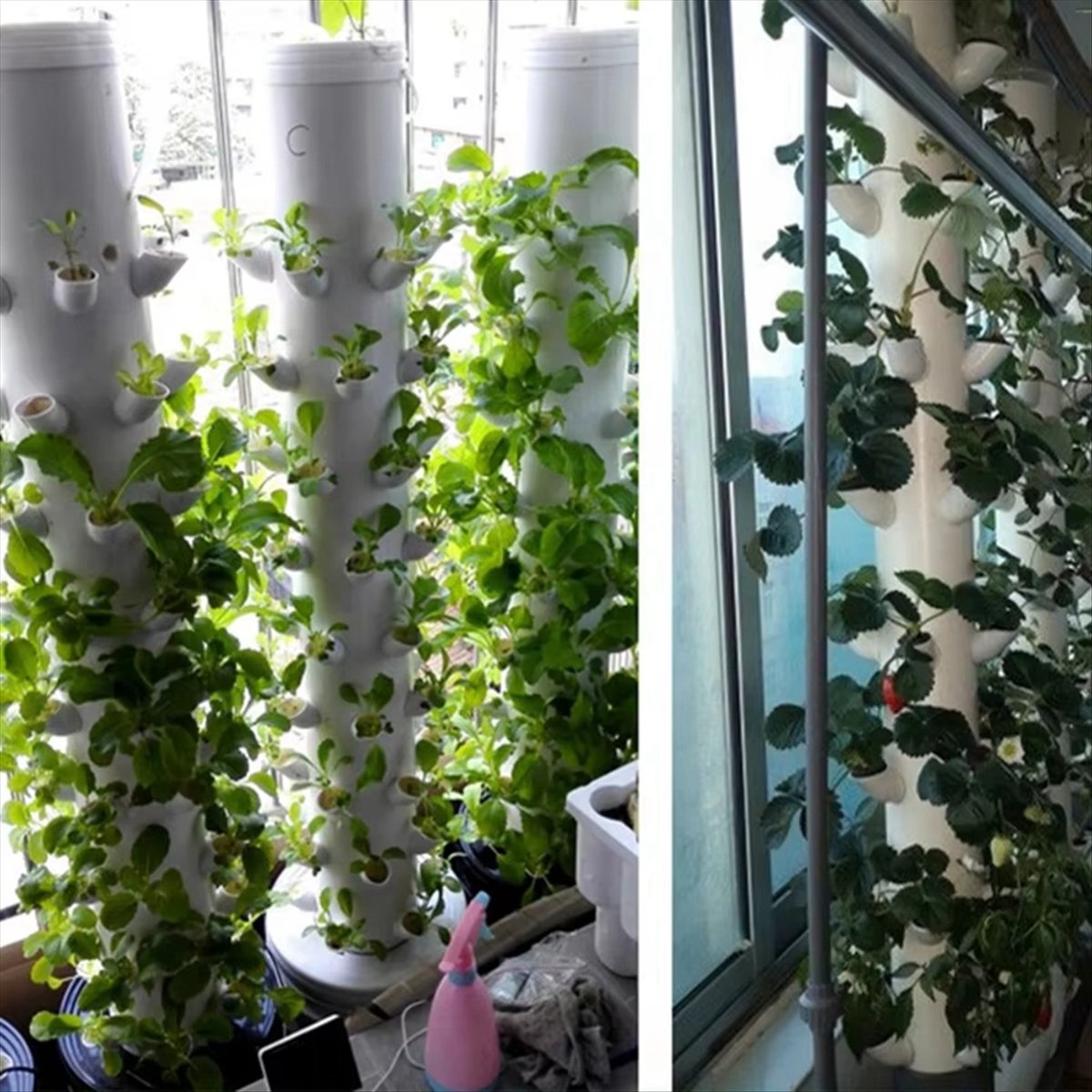 Hydroponische verticale torenc - Hydroponic Tower recensie en prijs